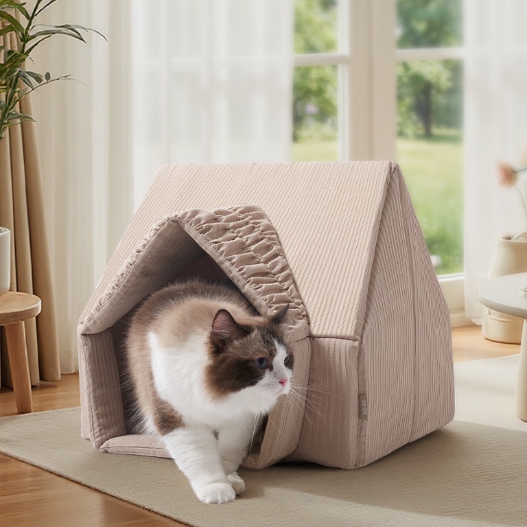 纯眠四季屋 — 猫咪在帐篷屋里休憩