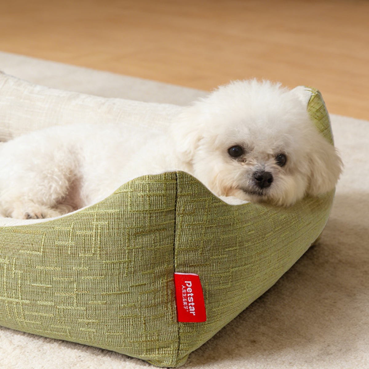 PETSTAR 四季方窝 · 比熊犬使用场景