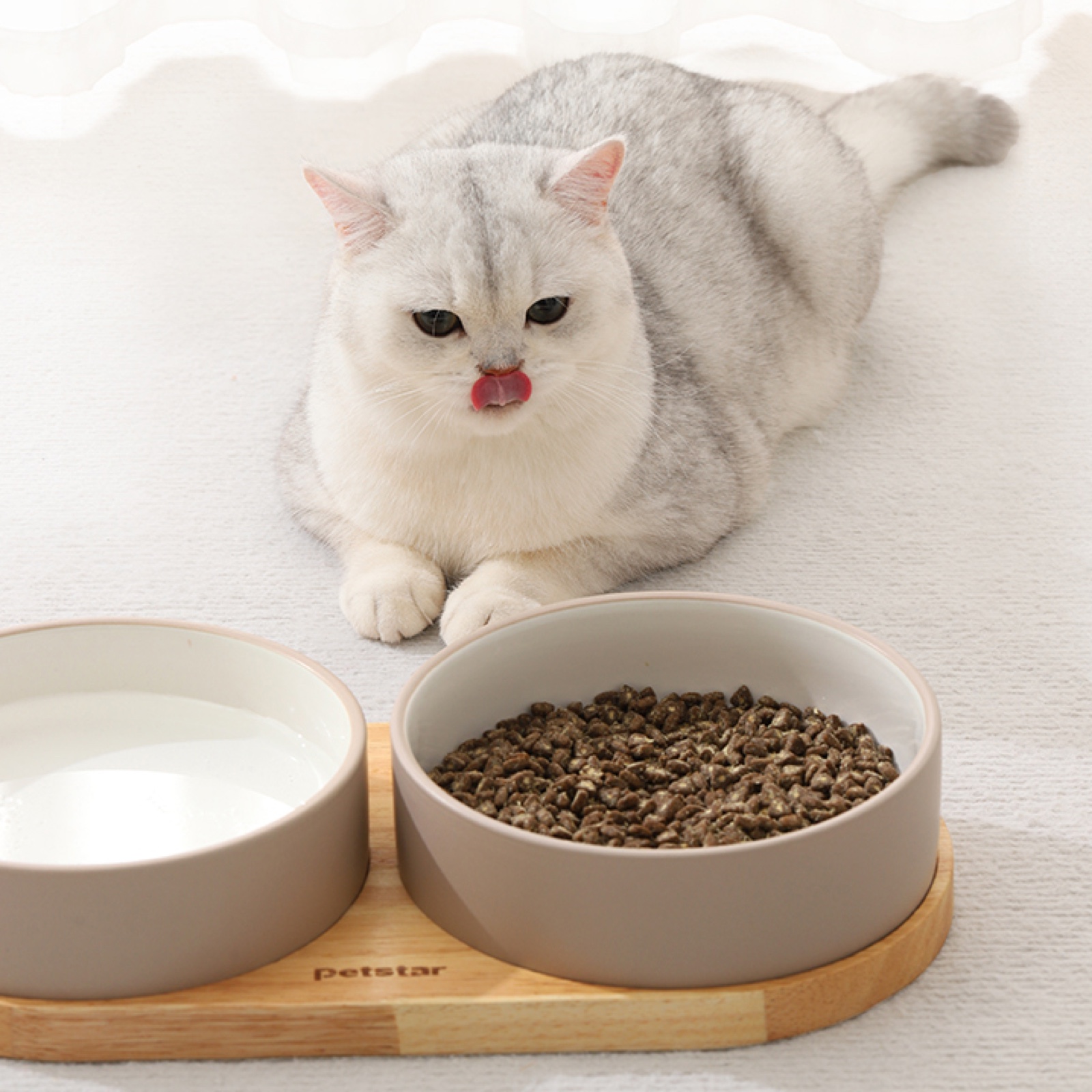 PETSTAR 陶瓷双碗食器 PSRQ0201LBN