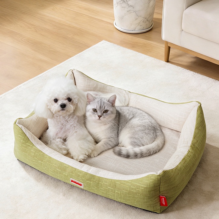 PETSTAR — 猫咪与犬在方窝中相伴