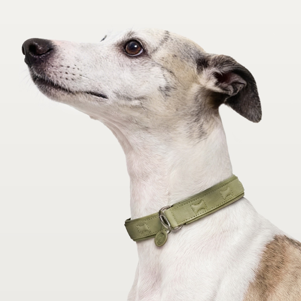 PETSTAR 编织牵引绳 PSRY0079