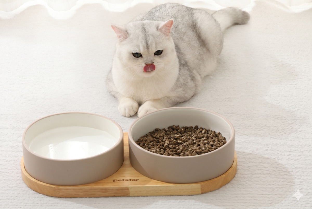 食具