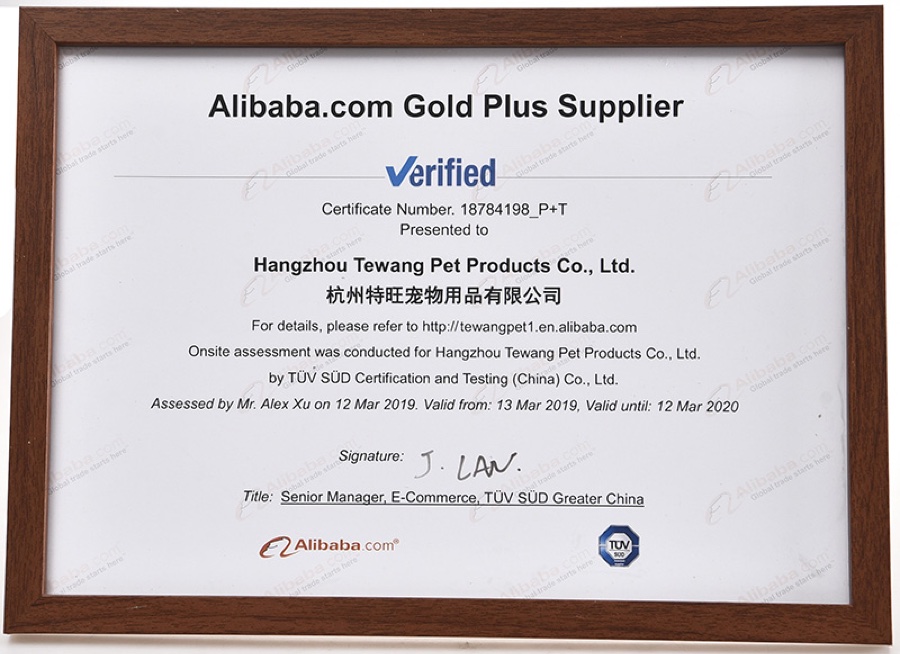 TÜV SÜD 供应商评估 杭州特旺 2019