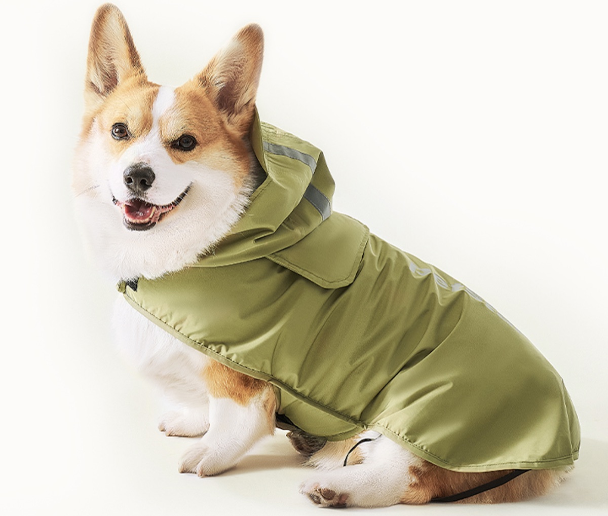 宠物雨衣
