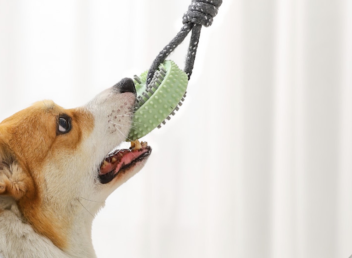 PETSTAR 咬胶玩具