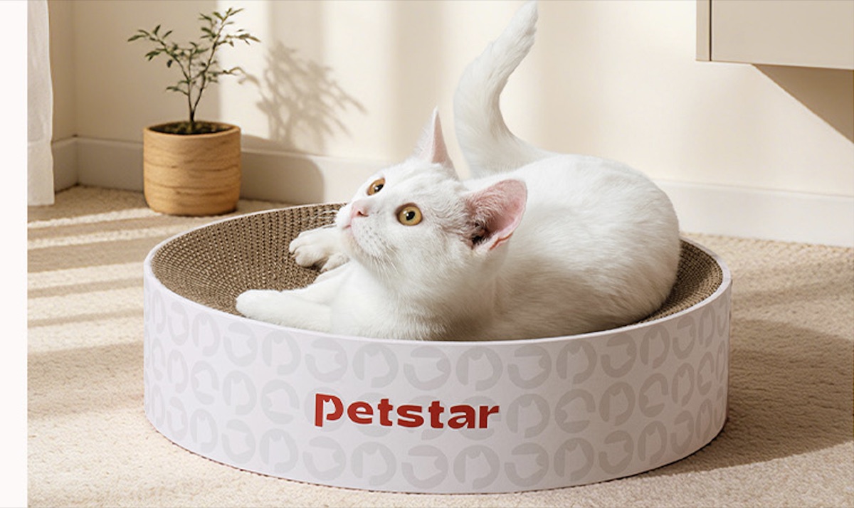 PETSTAR 圆形猫抓板
