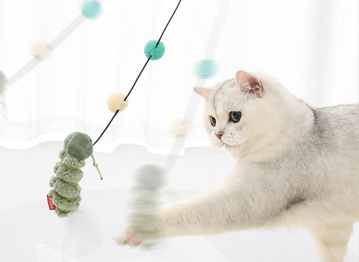 PETSTAR 逗猫玩具套装