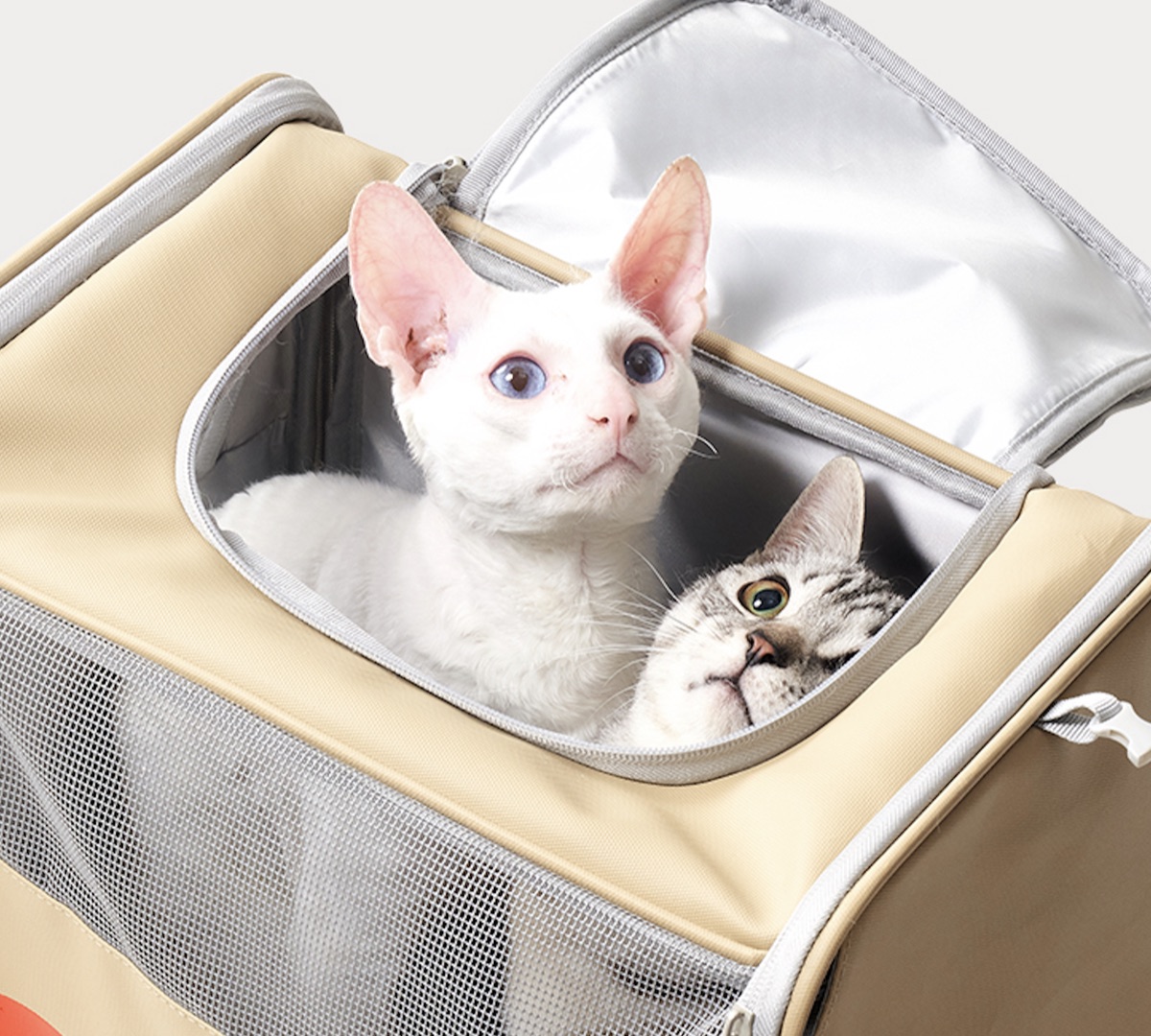 PETSTAR 宠物拉杆箱