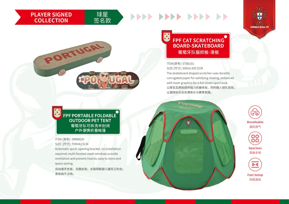 猫抓板滑板与户外帐篷